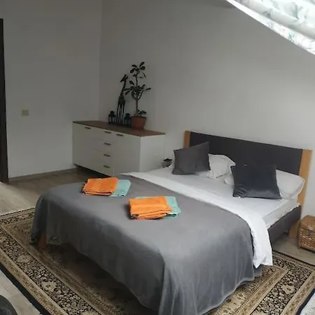 центр оперний театр однокімнатні з кухня-студія кондиціонер Appartement Lviv