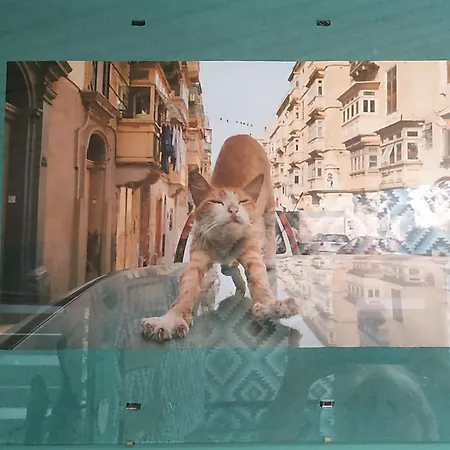 центр оперний театр однокімнатні з кухня-студія кондиціонер Lejlighed