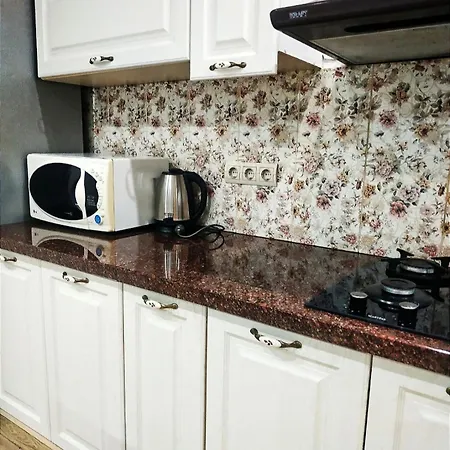 центр оперний театр однокімнатні з кухня-студія кондиціонер Lägenhet Lviv