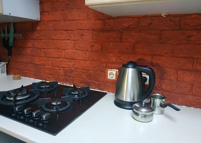 центр оперний театр однокімнатні з кухня-студія кондиціонер * Leópolis