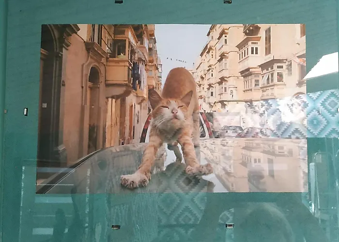 центр оперний театр однокімнатні з кухня-студія кондиціонер Apartamento